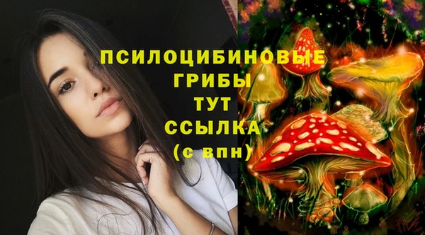гашик Надым