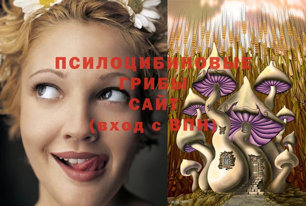 мет Балахна