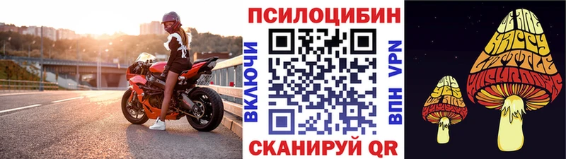 Галлюциногенные грибы мухоморы  продажа наркотиков  Пучеж 